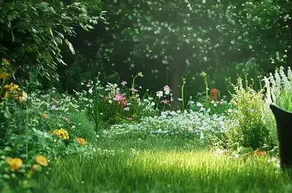 création jardin Le Rheu-4
