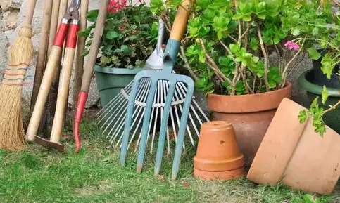 entretien jardin Bréal sous Montfort-1