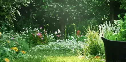 entretien jardin Cintré-1