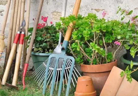 entretien jardin Cintré-3