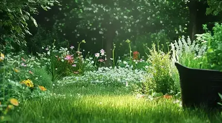 entretien jardin Pacé-1