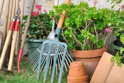 entretien jardin Vezin le Coquet-1