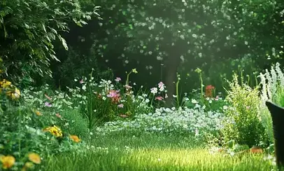 entretien jardin Vezin le Coquet-2